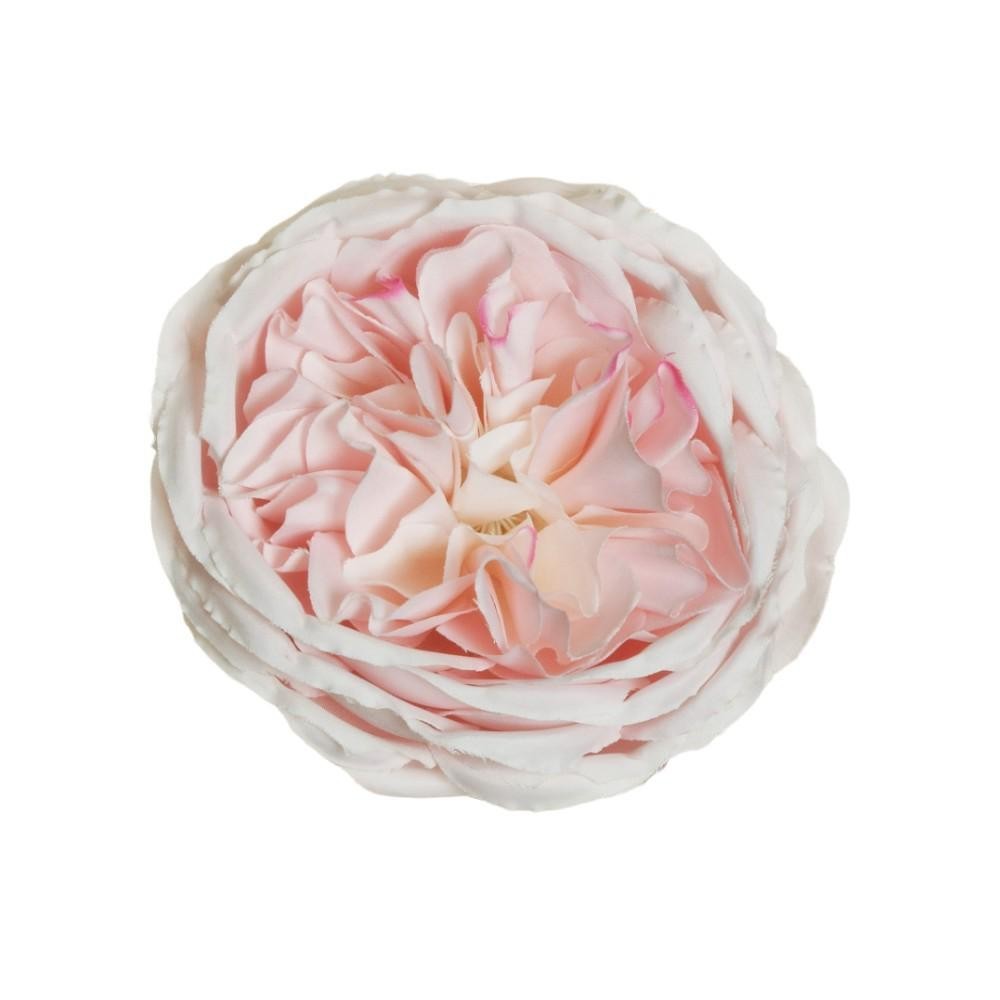 PICK ROSA AUSTIN D10 H5 LIGHT PINK